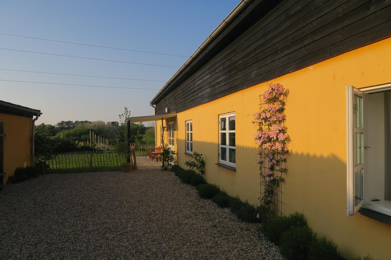 Bed & Breakfast Du Nord Vejby Esterno foto