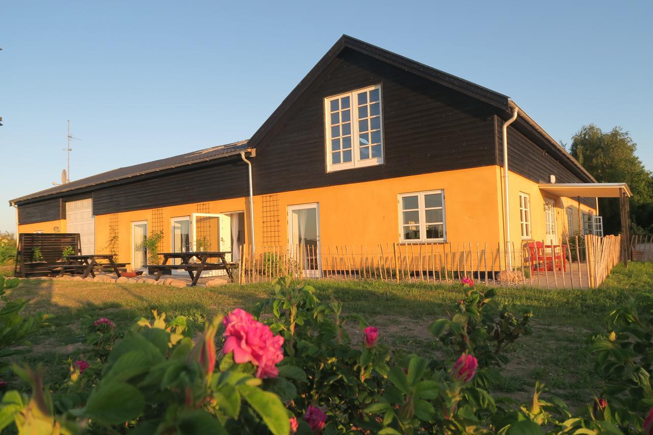 Bed & Breakfast Du Nord Vejby Esterno foto